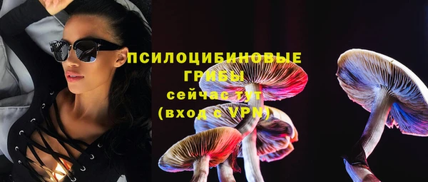 синтетический гашиш Новозыбков