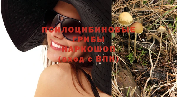 ГАЛЛЮЦИНОГЕННЫЕ ГРИБЫ Новокубанск