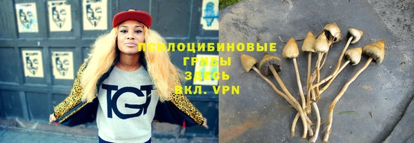 синтетический гашиш Новозыбков