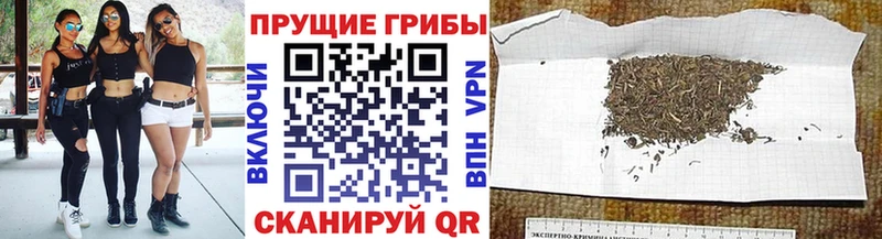 Псилоцибиновые грибы ЛСД  Нижняя Салда 